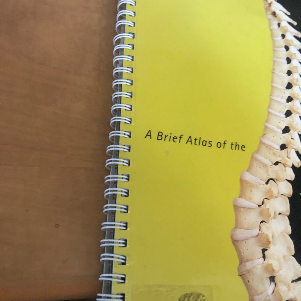 Human Body Atlas - Picture 4 of 5